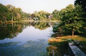 new canaan airport services