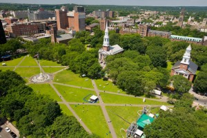 new haven limo services
